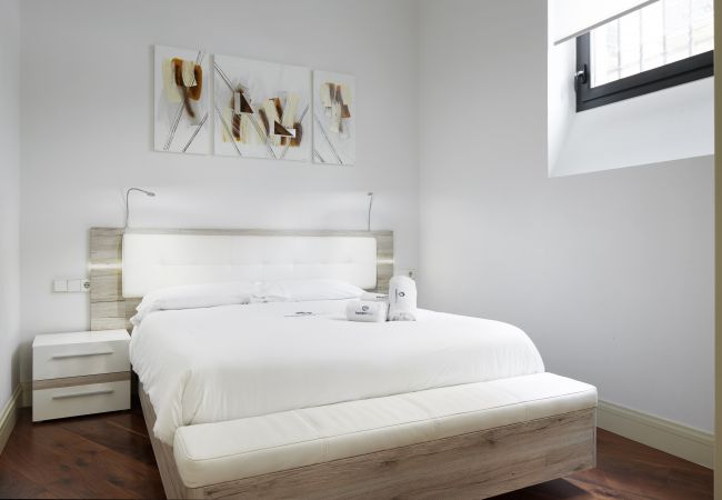Apartamento en San Sebastián/Donostia - EIDER - Basque Stay Apartamento en San Sebastián/Donostia - EIDER - Basque Stay