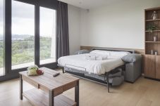 Apartamento en San Sebastián - MANTULENE 1C - Basque Stay