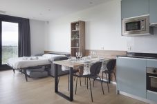 Apartamento en San Sebastián - MANTULENE 2C - Basque Stay