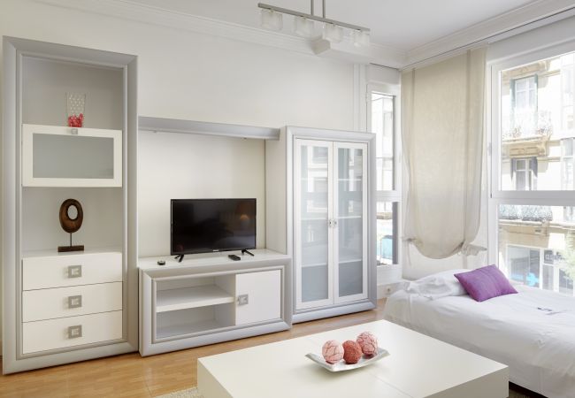 Apartment in San Sebastián/Donostia - HURBIL - Basque Stay Apartment in San Sebastián/Donostia - HURBIL - Basque Stay