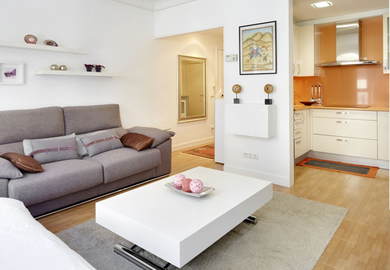 Apartment in San Sebastián - HURBIL - Basque Stay
